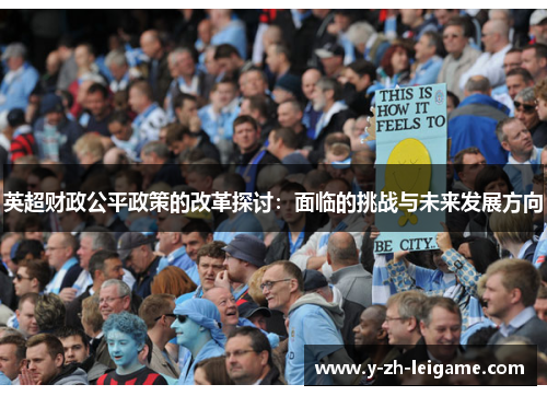 英超财政公平政策的改革探讨：面临的挑战与未来发展方向