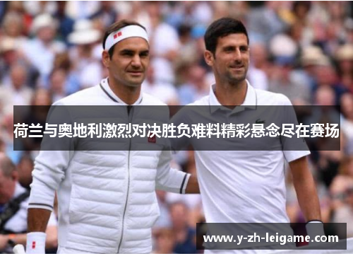 荷兰与奥地利激烈对决胜负难料精彩悬念尽在赛场