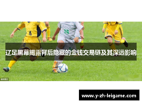 辽足黑幕揭露背后隐藏的金钱交易链及其深远影响