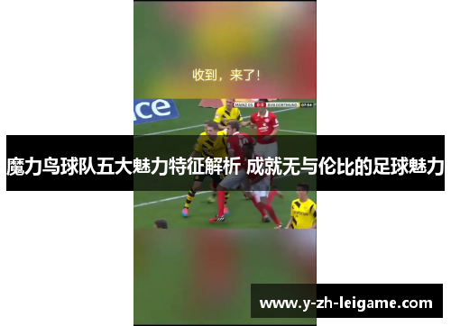 魔力鸟球队五大魅力特征解析 成就无与伦比的足球魅力