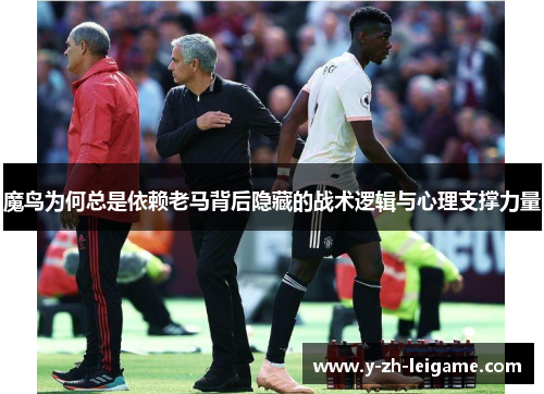 魔鸟为何总是依赖老马背后隐藏的战术逻辑与心理支撑力量