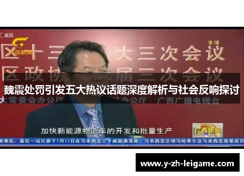 魏震处罚引发五大热议话题深度解析与社会反响探讨