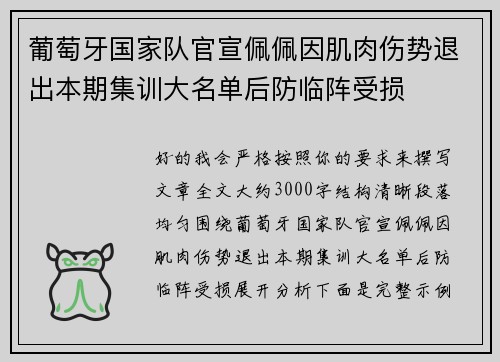 葡萄牙国家队官宣佩佩因肌肉伤势退出本期集训大名单后防临阵受损